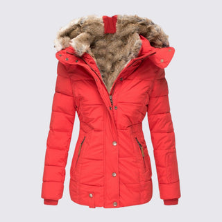 Taillierte gesteppte Jacke mit Kapuze für Damen